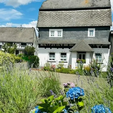 Ferienhaus Sosberg Holiday home