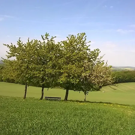 펜션 Ferienhaus Sosberg